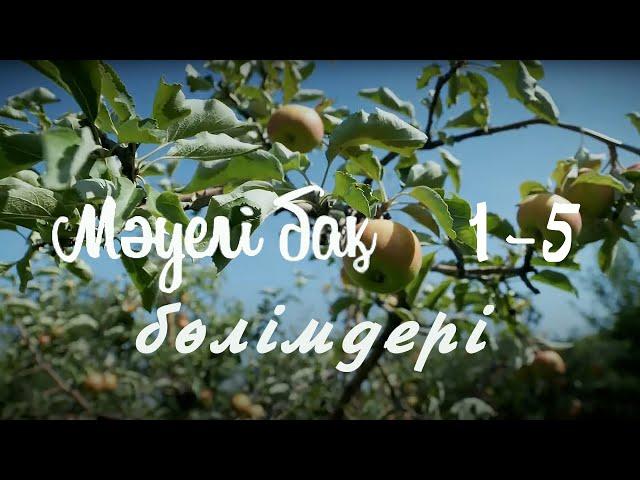 «Мәуелі бақ» телехикаясының 1-5 бөлімдері | 1-5 серии телесериала «Мауели бак»