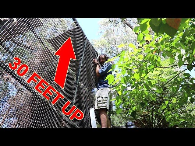 I CAUGHT A WILD DIAMOND PYTHON IN THE REPTILE PARK! - Dāv Kaufman Vlogs