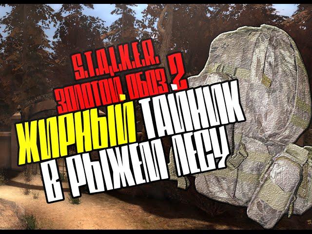 S.T.A.L.K.E.R.: "Золотой обоз 2" ЖИРНЫЙ тайник (схрон) в Рыжем лесу