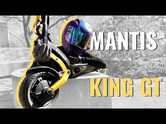 Mantis King GT vs. Vsett 10+ eScooter Comparison | 500 Mile Review