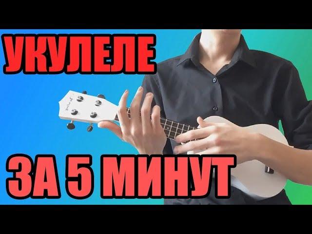 Как научиться играть на укулеле ЗА 5 МИНУТ