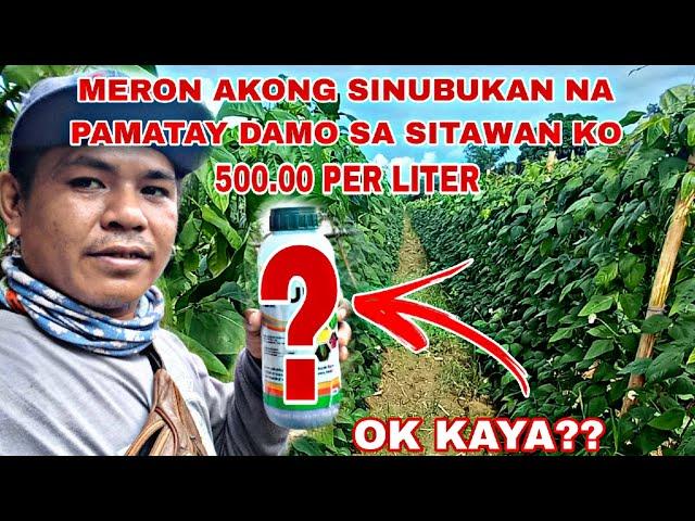 SINUBUKAN KO ANG HERBICIDE NA TO || 500.00 LANG PER LITER|| EFFECTIVE KAYA??