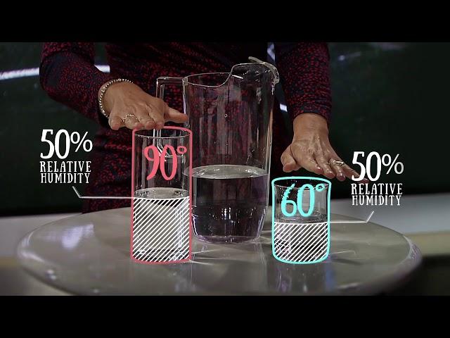Weather 101: Humidity VS Dewpoint