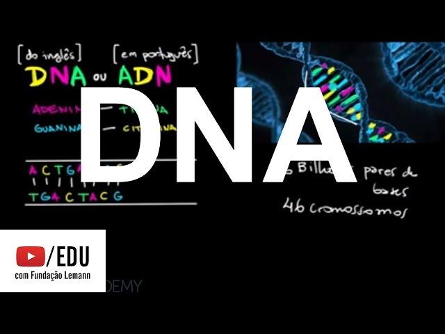 DNA | Macromoléculas | Biologia | Khan Academy