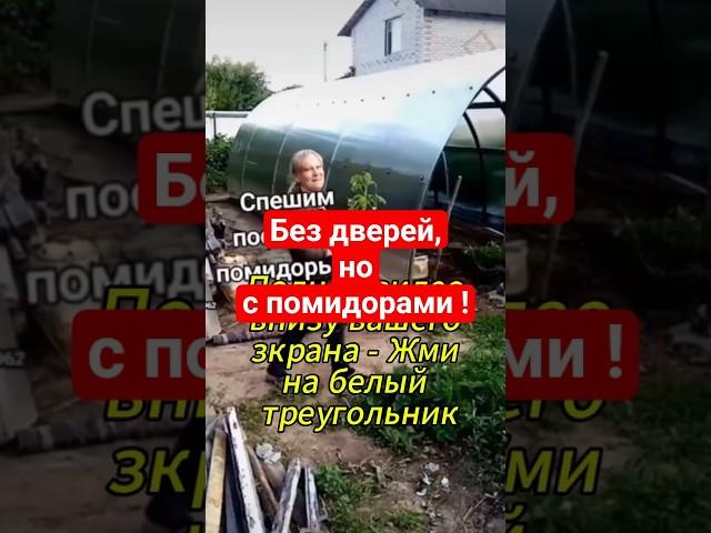 Наша дача#shorts#теплица#как #огород#пластиковые#greenhouse#garden#plastic_pers#how#greenhouse