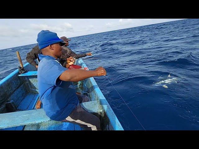 fishing for yellowfin tuna fish  catching skills handline fishing video amazing fishing