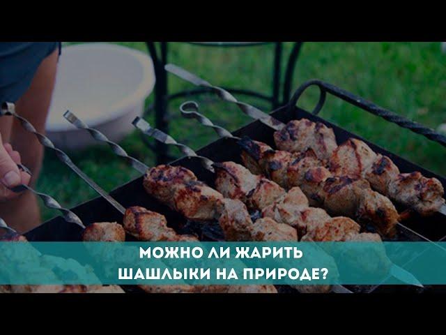 Можно ли жарить шашлыки на природе?