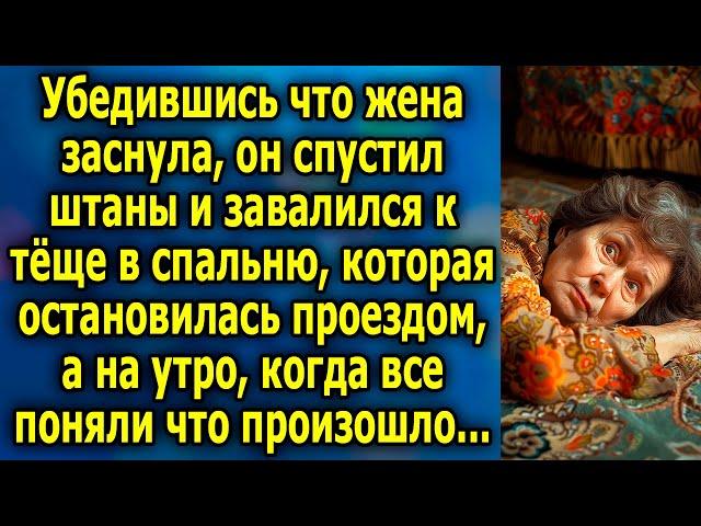 Убедившись что жена спит, он спустился к теще в спальню, которая остановилась проездом, а на утро...
