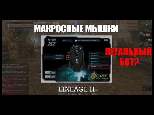 Макросная мышка | Легальный бот в Lineage 2? Разбираем легитимность и эффективность -  Homunculus