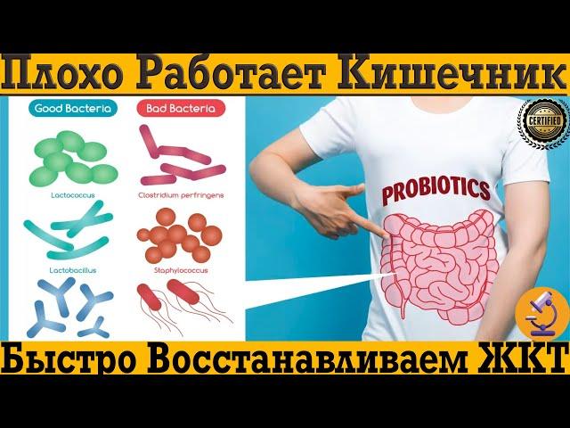 Плохо работает кишечник и желудок! Вздутия, боль и дискомфорт в ЖКТ до и после еды !