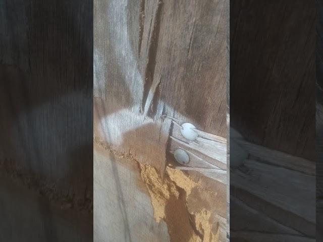 Possible Security breach/Insecure Premise (Keep your Rent Part II)