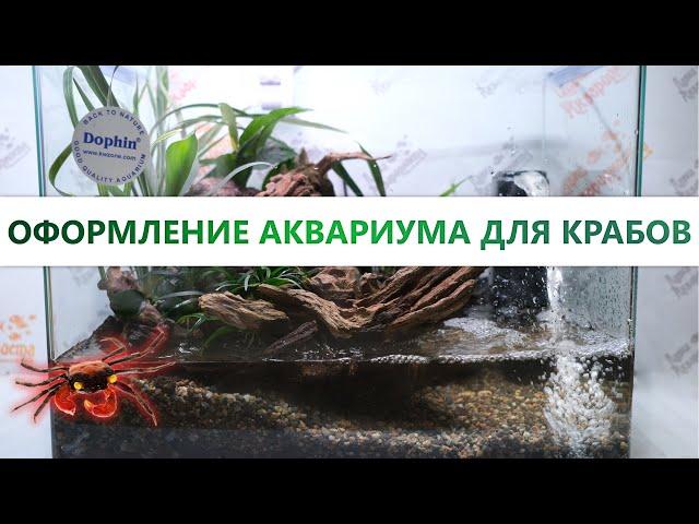 Оформление аквариума для крабов Красный Дьявол или Вампир на 47л