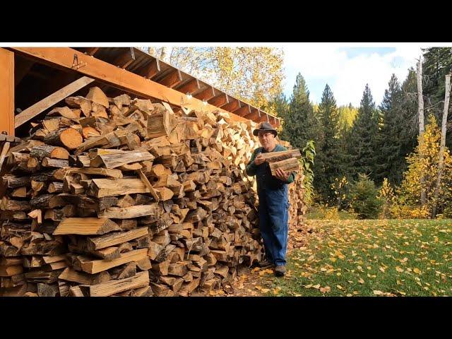 How I Live My Life in a Remote Log Cabin | Living My Best Life