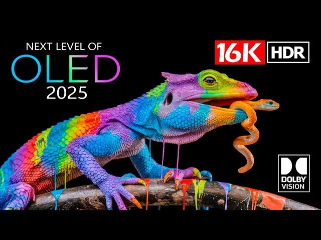 Next Level of 2025 16K Video ULTRA HD - 16K HDR Dolby Vision