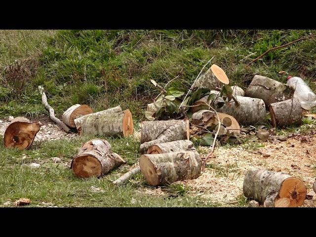 Bijela gora - neotkriveni dragulj prirode