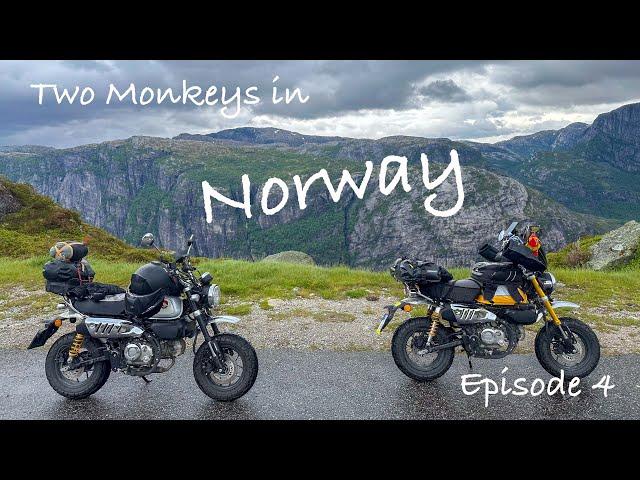 Two Monkeys in the Norwegian mountains! Ep 4