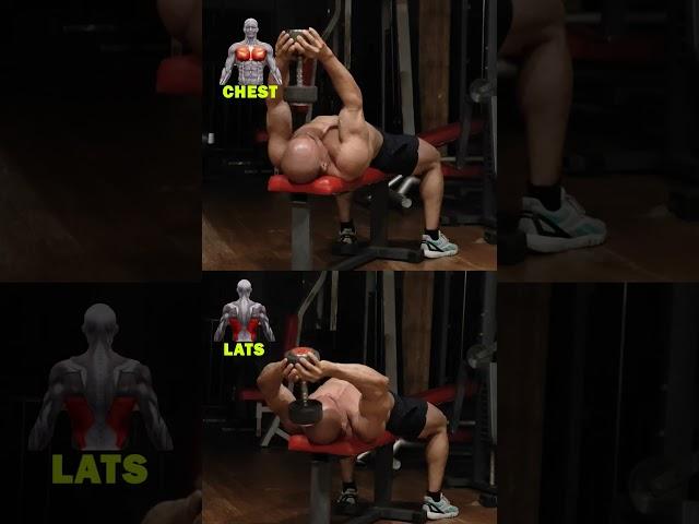 "Dumbbell Pullovers: Targeting Lats vs. Chest Explained!"