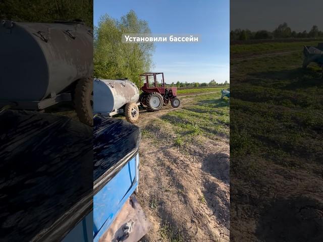 Установили Бассейн для полива клубники #2025 #клубника #story #деревня #ферма #т25#трактор #жизнь