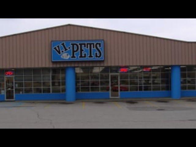 V.I. PETS In Plainfield, Michigan