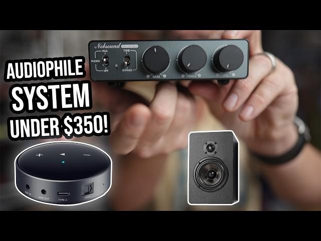 Crazy Audiophile System Under $350 Gives You Options!