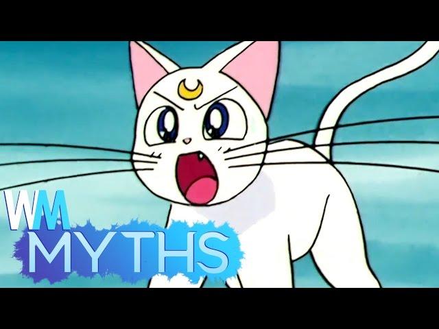 Top 5 Myths About Cats