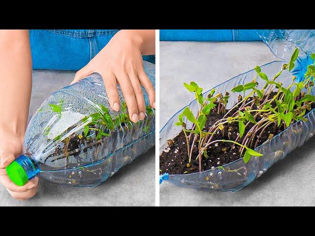 Unusual Hacks For Growing Plants Anywhere  || Gardening Tips & Hacks For Beginners 