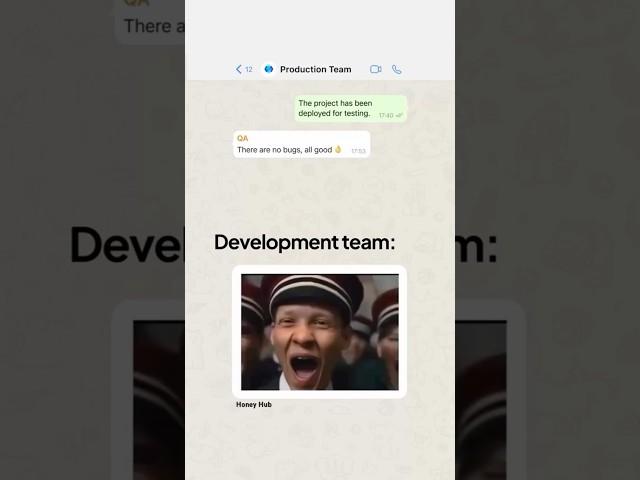 Development team and project manager #coding #fun