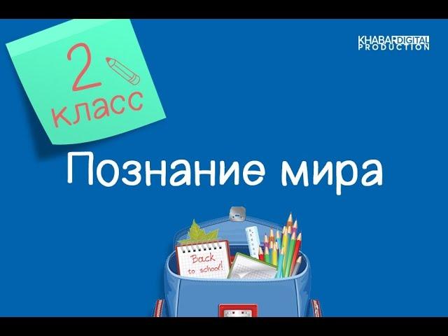 Познание мира. 2 класс. Я и общество /10.09.2020/