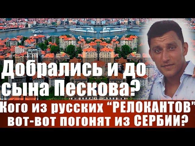 Добрались и до сына Пескова? Кого из русских "РЕЛОКАНТОВ" вот-вот погонят из СЕРБИИ?