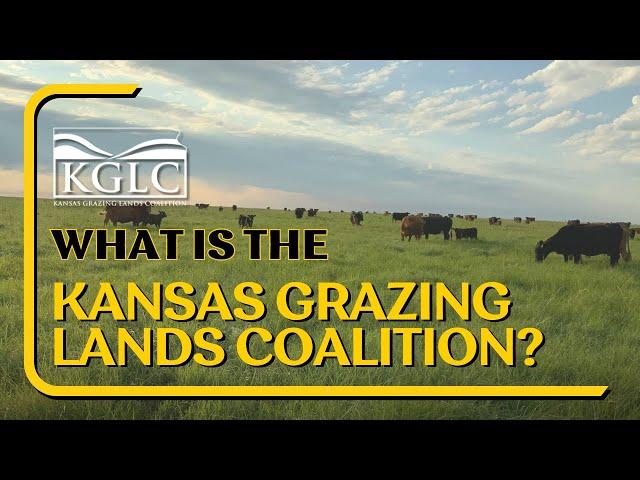 Hear From a Board Member - What is Kansas Grazing Lands Coalition?