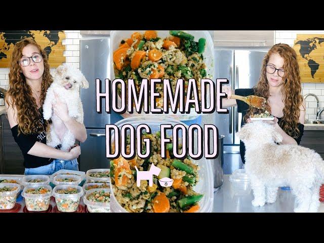 HOMEMADE + HEALTHY DOG FOOD RECIPE | COOKING FOR YOUR DOG