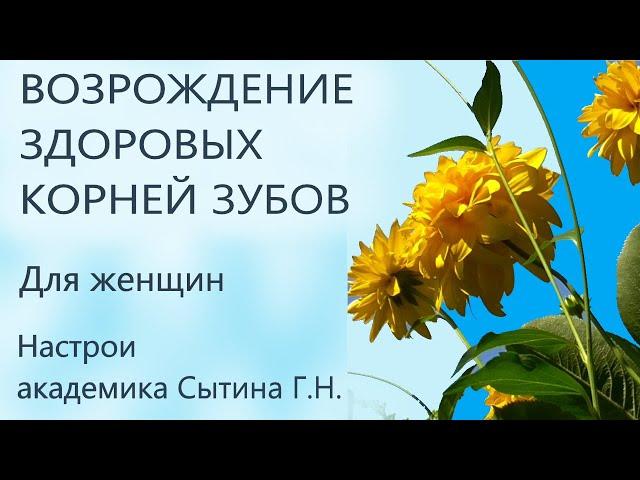 Возрождение здоровых корней зубов Для женщин Настрои академика Сытина Г.Н.