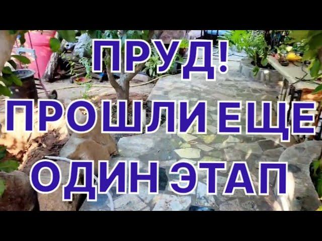 ПРУД! ПРОШЛИ ЕЩЕ ОДИН ЭТАП