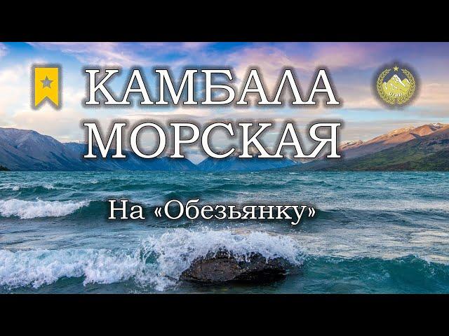  Норвежское море  Камбала морская на "Обезьянку"  Русская рыбалка 4 