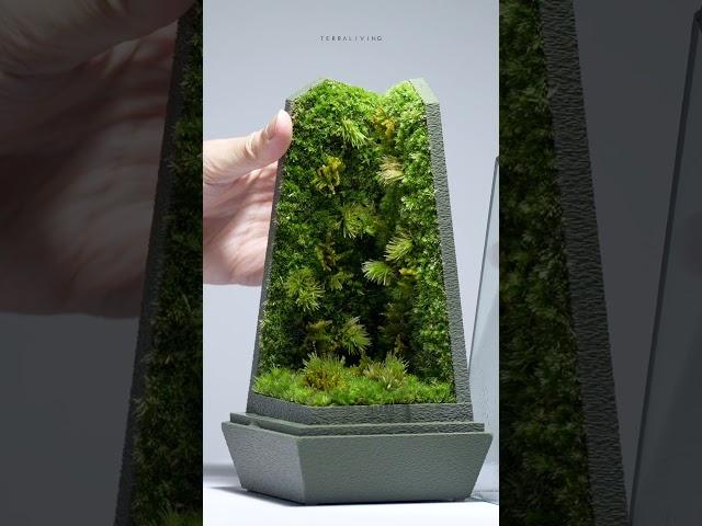 The Making of Living Moss Wall Terrarium ft. Vertex - II by #terraliving