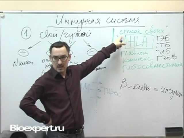 Иммунная система человека! Проблемы щитовидной железы