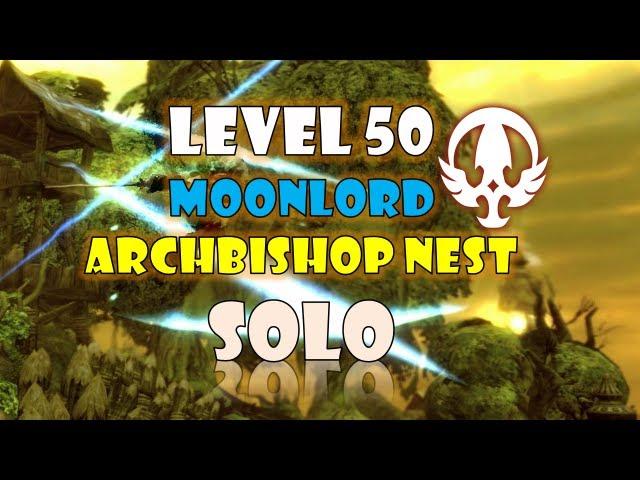 Dragon Nest SEA - Level 50 Moonlord Archbishop Nest Solo Feat. AikawaKazu ~!