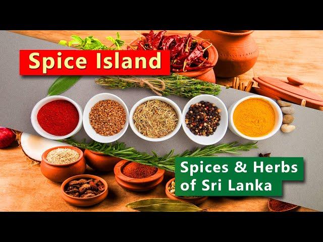 Spice Island | Spices & Herbs of Sri Lanka