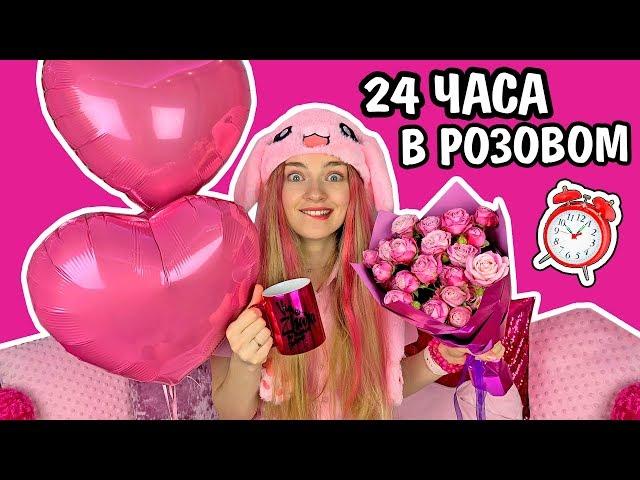 24 ЧАСА ОДНОГО ЦВЕТА / ТОЛЬКО РОЗОВЫЙ Челлендж ЦЕЛЫЙ ДЕНЬ В РОЗОВОМ ЦВЕТЕ Ната Лайм