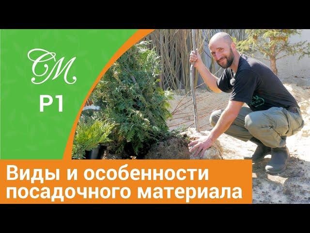 Чем отличаются саженцы ОКС, ЗКС, КОМ ? Выбор посадочного материала.