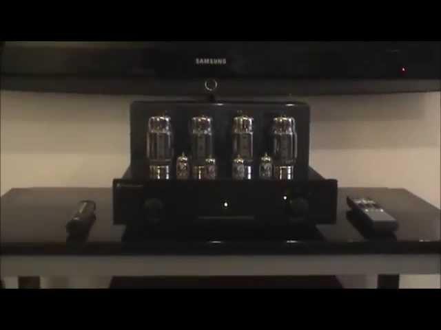 PrimaLuna ProLogue Premium with KT120 + ProAc Studio 110