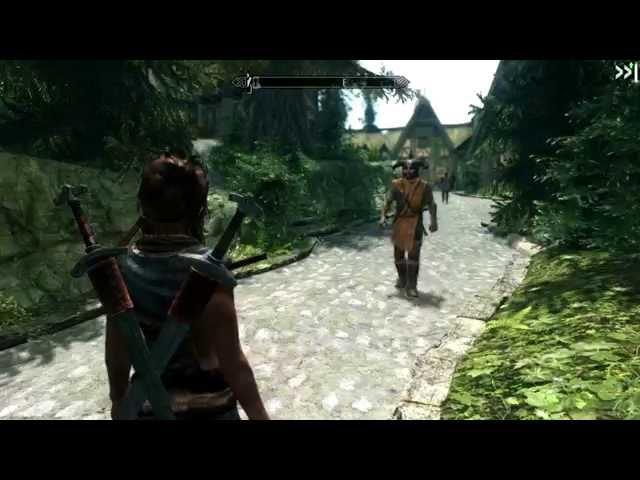 Skyrim-Installing Dual Sheath Redux and Immersive Animations.