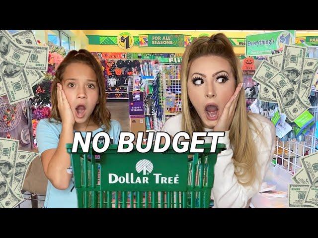 NO BUDGET  DOLLAR TREE SHOPPING SPREE! 