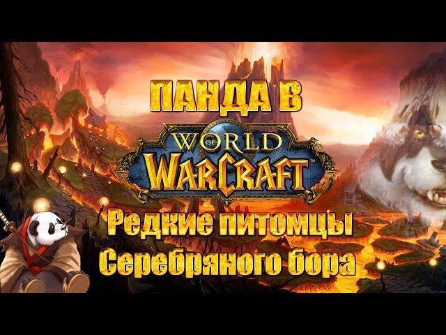 World of Warcraft: Редкие питомцы Серебряного Бора. Кого приручить охотнику?