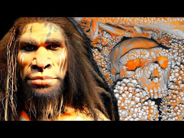 Paleontologists Unearth Historic Neanderthal Discovery in Italy 