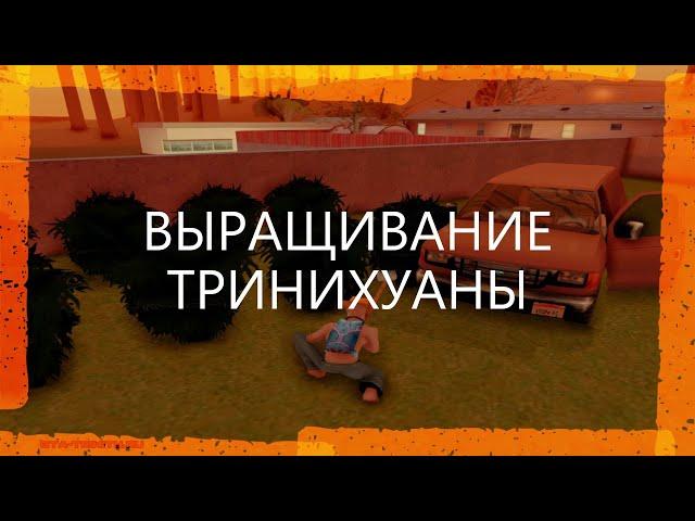 GTA SAMP | Выращивание тринихуаны часть первая | TRINITY RP