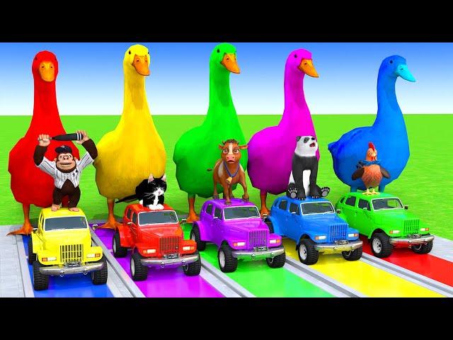 5 Giant Duck Cartoon,Cow,Elephant,Tiger,Lion,Dinosaur,Paint Wild Animals Crossing Fountain Animation