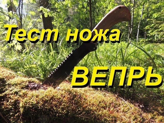 Нож экспедиционный Вепрь. Тест