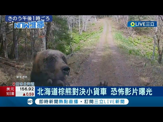 北海道採野菜遇棕熊猛撲撞擊 驚悚畫面曝! 伸熊爪刮擋風玻璃 母棕熊狂追貨車 美國大山貓闖入後院 吃掉倉庫火雞飽食｜記者 姚懷真｜【國際大現場】20240430｜三立新聞台