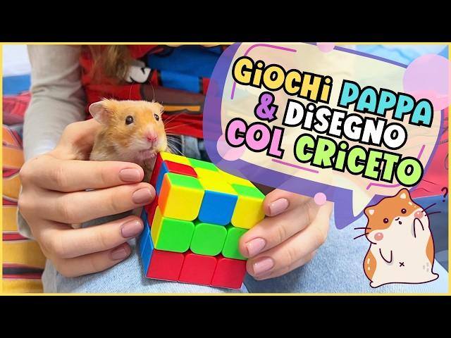  Prima insalata per Mochi  giochi e tutorial Criceto! 